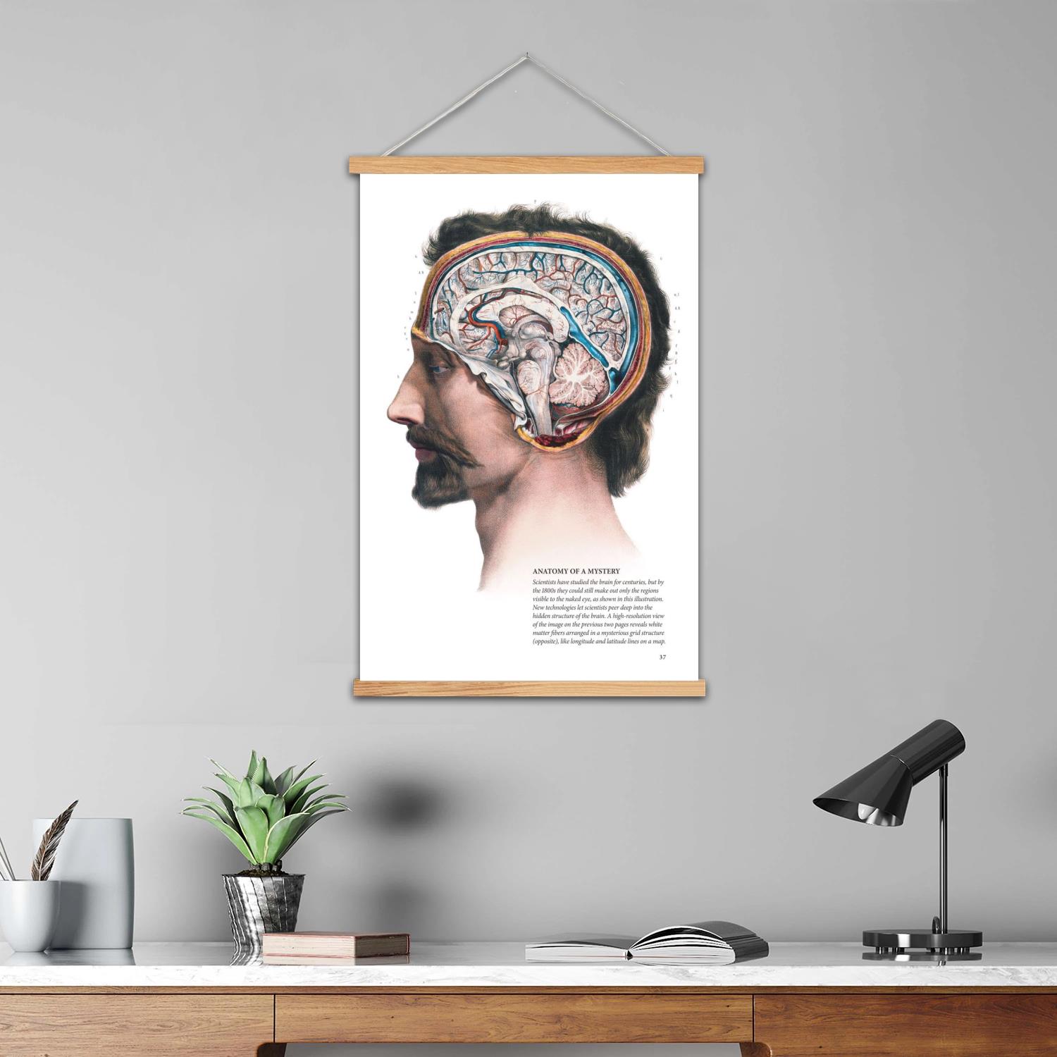 ملصق فني من القماش بإطار دماغي - مراجعة Art Print Framed وسعره